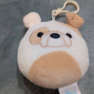 squishmallow dog clip